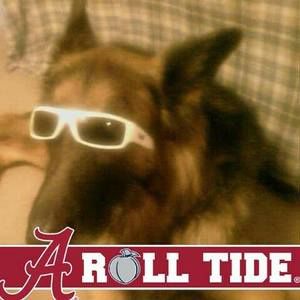 Meet your Posher, Shelly